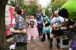 DSC_6454.JPG